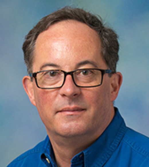 Professor Department of Political Science
